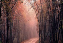 academic-writing技能使用说明