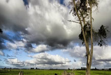 Deep Research技能使用说明