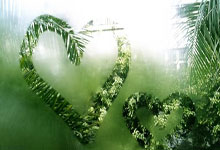 Flight Search技能使用说明