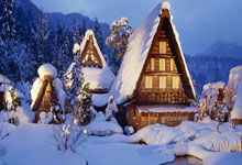 Veo技能使用说明