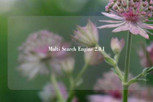 Multi Search Engine 2.0.1技能使用说明