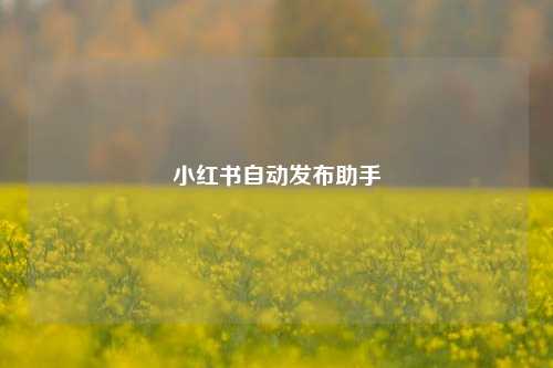 小红书自动发布助手