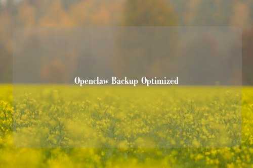 Openclaw Backup Optimized
