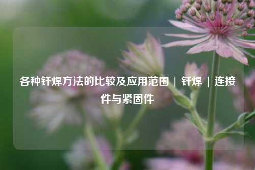 各种钎焊方法的比较及应用范围 | 钎焊 | 连接件与紧固件