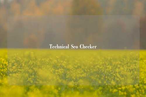 Technical Seo Checker