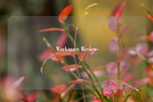 Workspace Review