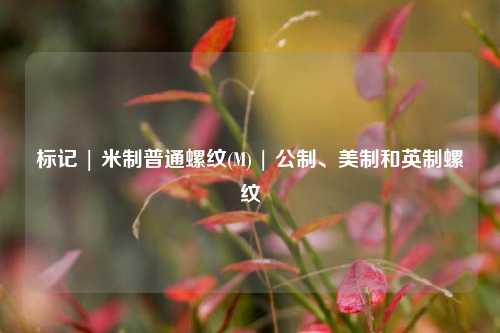 标记 | 米制普通螺纹(M) | 公制、美制和英制螺纹