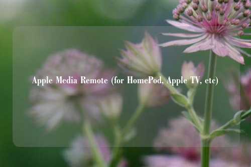 Apple Media Remote (for HomePod, Apple TV, etc)
