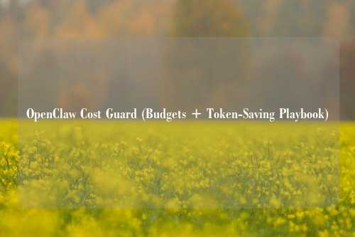 OpenClaw Cost Guard (Budgets + Token-Saving Playbook)
