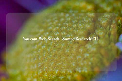 You.com Web Search & Research CLI
