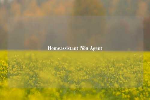 Homeassistant N8n Agent技能使用说明