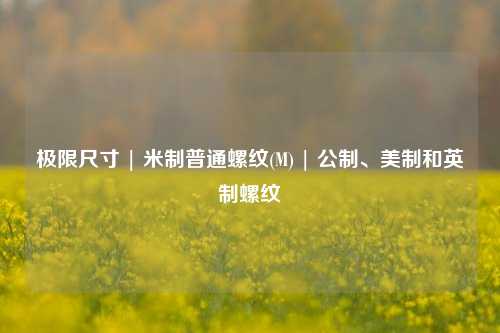极限尺寸 | 米制普通螺纹(M) | 公制、美制和英制螺纹