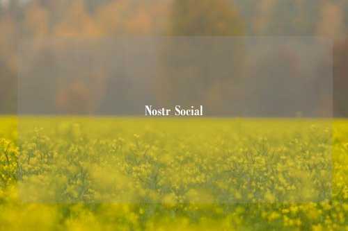 Nostr Social