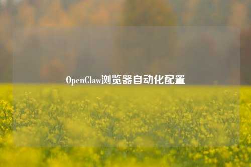 OpenClaw浏览器自动化配置