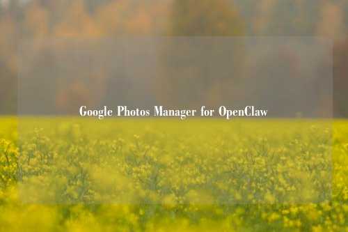 Google Photos Manager for OpenClaw技能使用说明