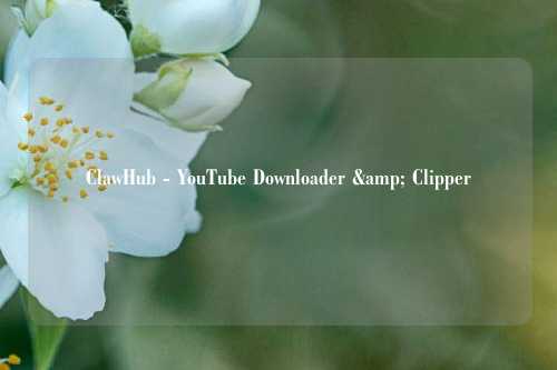 ClawHub - YouTube Downloader & Clipper