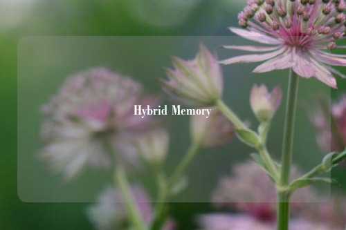 Hybrid Memory