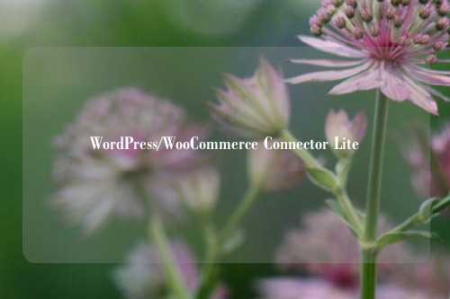 WordPress/WooCommerce Connector Lite