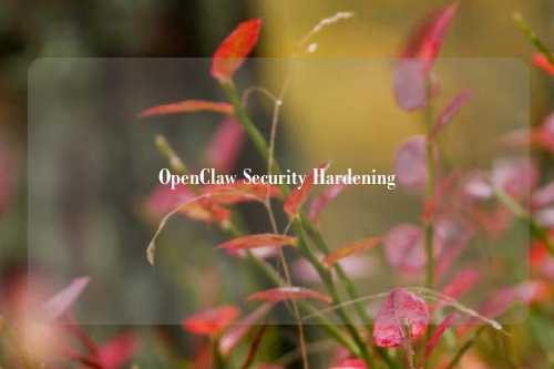 OpenClaw Security Hardening