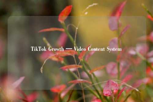 TikTok Growth — Video Content System