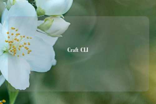Craft CLI技能使用说明