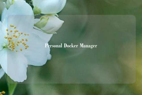 Personal Docker Manager技能使用说明