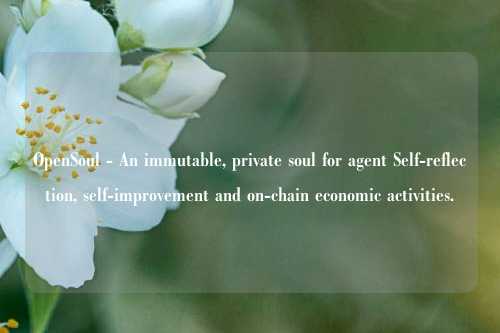 OpenSoul - An immutable, private soul for agent Self-reflection, self-improvement and on-chain economic activities.技能使用说明