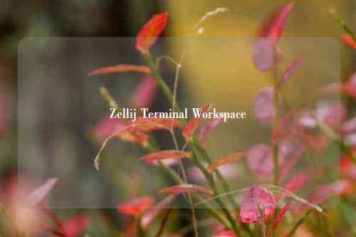 Zellij Terminal Workspace技能使用说明