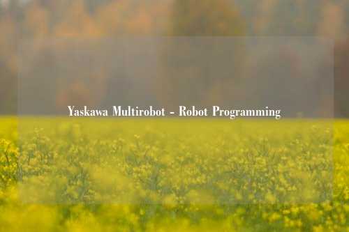 Yaskawa Multirobot - Robot Programming
